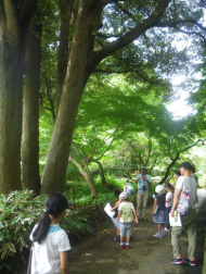 植物観察会